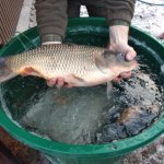 phoca_thumb_m_za kaprem 10 Fotogalerie